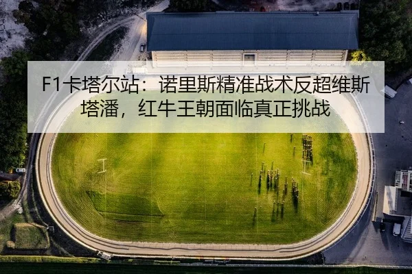 ka-ta-er-zhan-nuo-li-si-jing-zhun-zhan-shu-fan-chao-wei-si-ta-pan-hong-niu-wang-chao-mian-lin-zhen-zheng-tiao-zhan-2-634.jpg