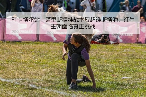 F1卡塔尔站：诺里斯精准战术反超维斯塔潘，红牛王朝面临真正挑战
